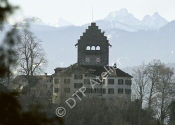 Uster - Burg mit Bergpanorama