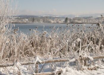 Postkarte - Winter am Greifensee aus der Serie «Stadt + Land»