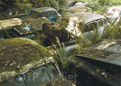 Postkartenserie «Technik+Natur» mit Bildern dem Autofriedhof Gürbetal